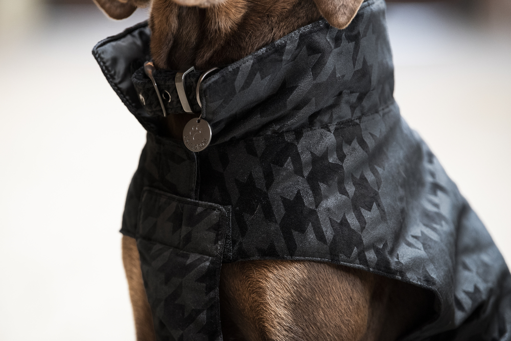 VELVET STAMP<br>DOG RUG