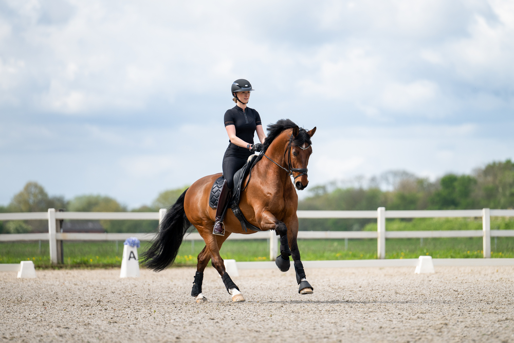 PIKEUR MALIA SD<br>FULL PATCHES