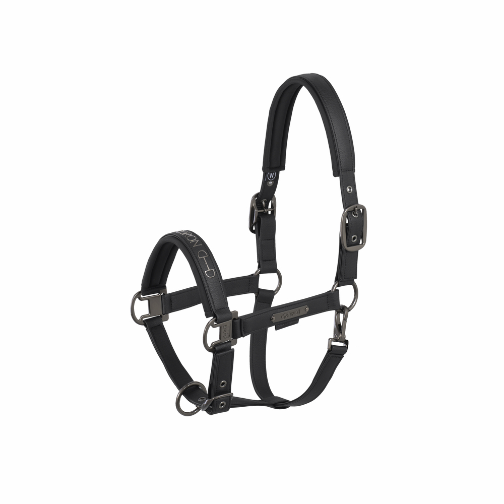 FAUX LEATHER DOUBLE PIN<br>HEADCOLLAR
