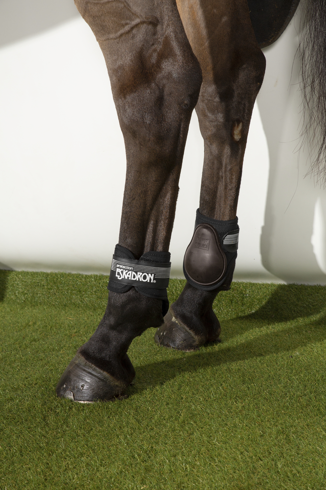 PROTECTION H<br>FETLOCK BOOTS