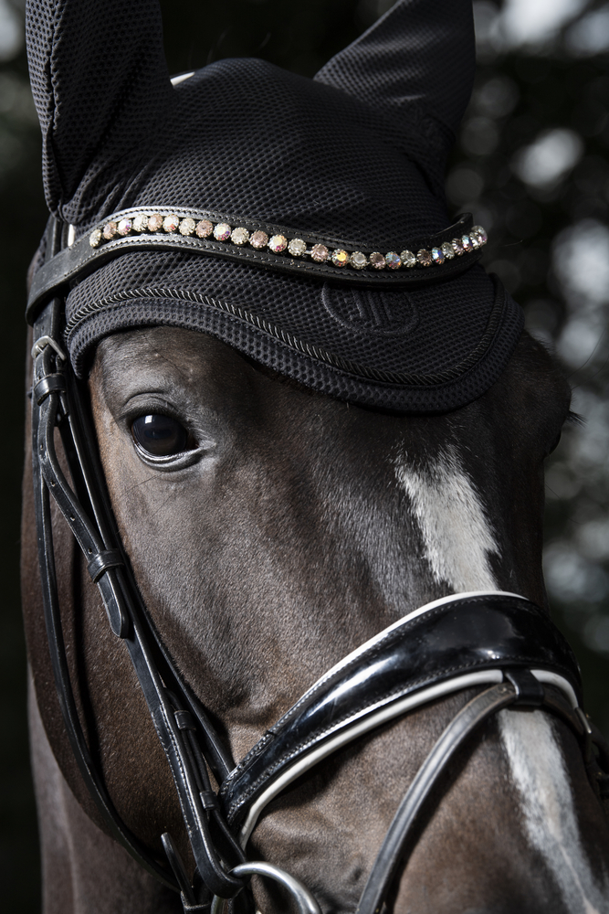 DYNAIR MESH<br>FLY HOOD