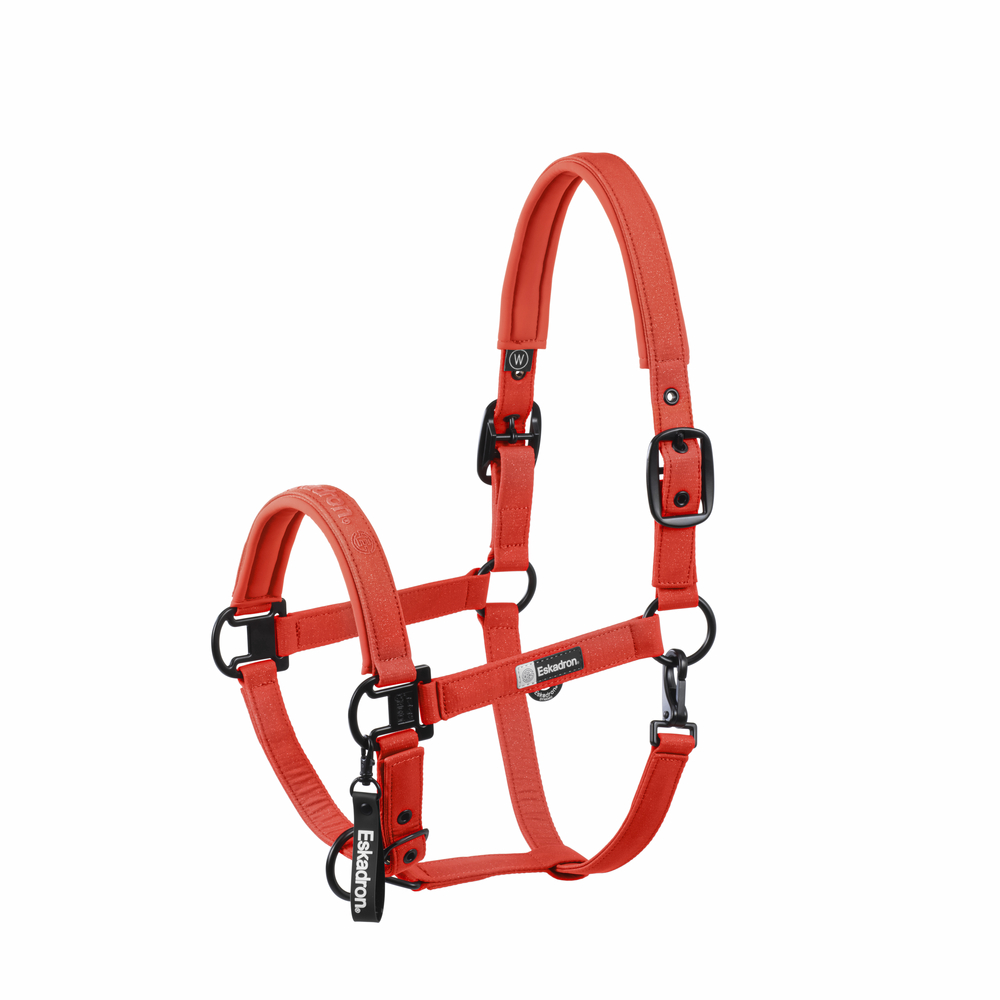 SPARKLE DOUBLE PIN<br>HEADCOLLAR