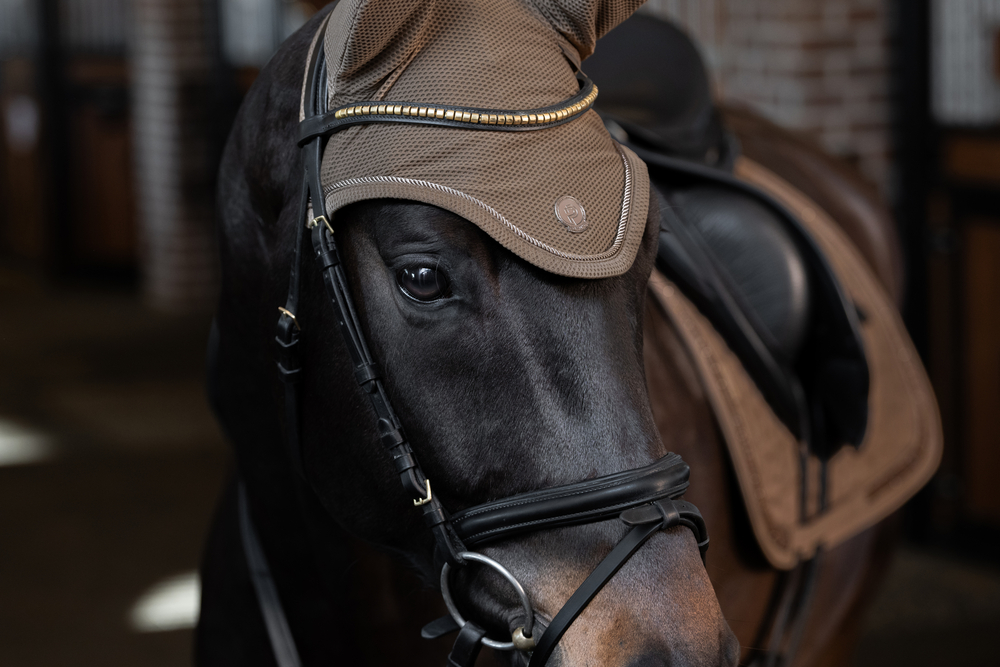 DYNAIR MESH SPORT<br>FLY HOOD