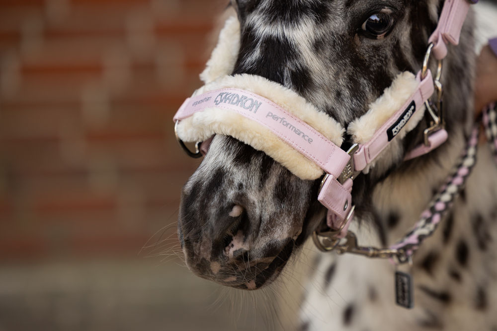 FAUXFUR DOUBLEPIN<br>HEADCOLLAR