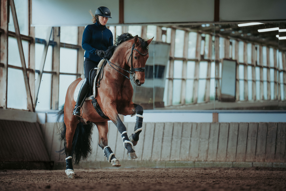 AIRLUXE PURE LONG VISOR<br>RIDING HELMET