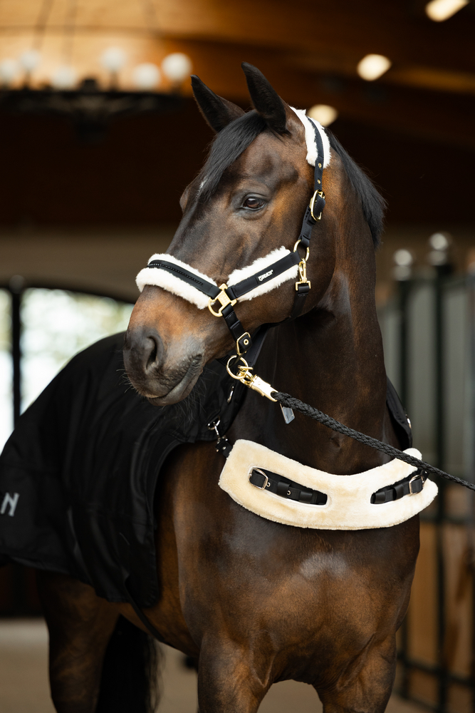 DELTA II FLEECE + 50 G<br>WALKER RUG