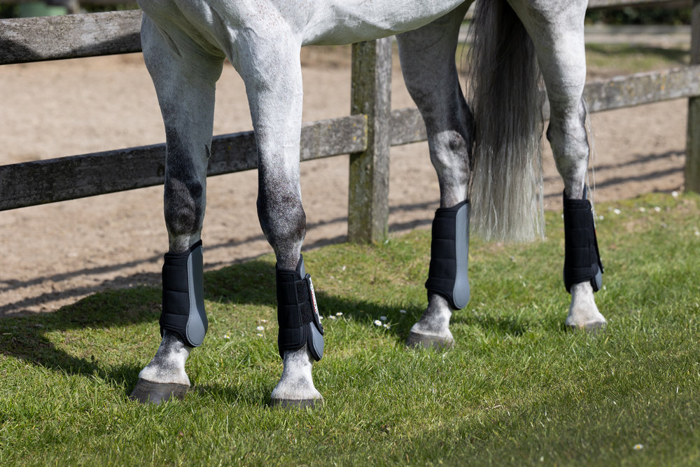FLEXISOFT CROSS COUNTRY F<br>TENDON BOOTS