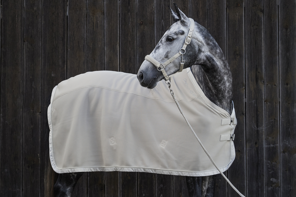 MESH<br>SWEAT RUG