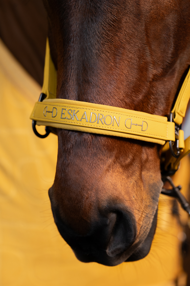 FAUX LEATHER DOUBLE PIN<br>HEADCOLLAR