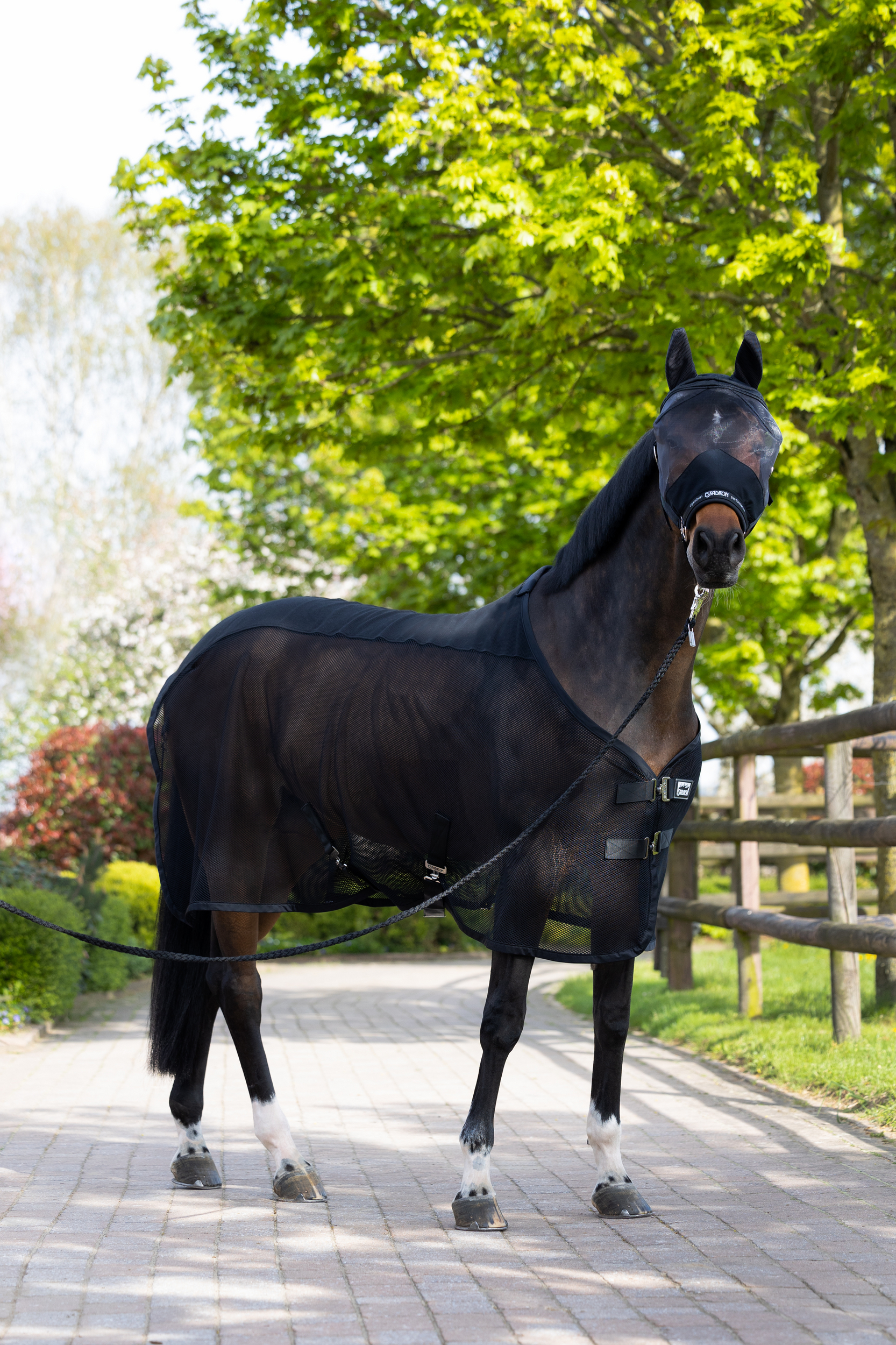 FLY<br>HEADCOLLAR