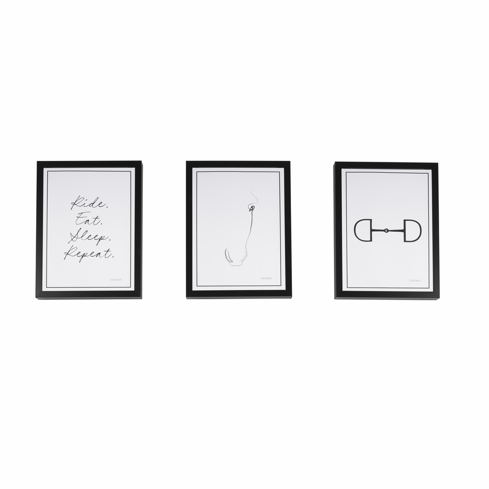 SET OF 3<br>WALL ART