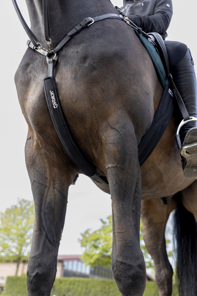 NEOPRENE COVER<br>MARTINGAL PROTECTOR