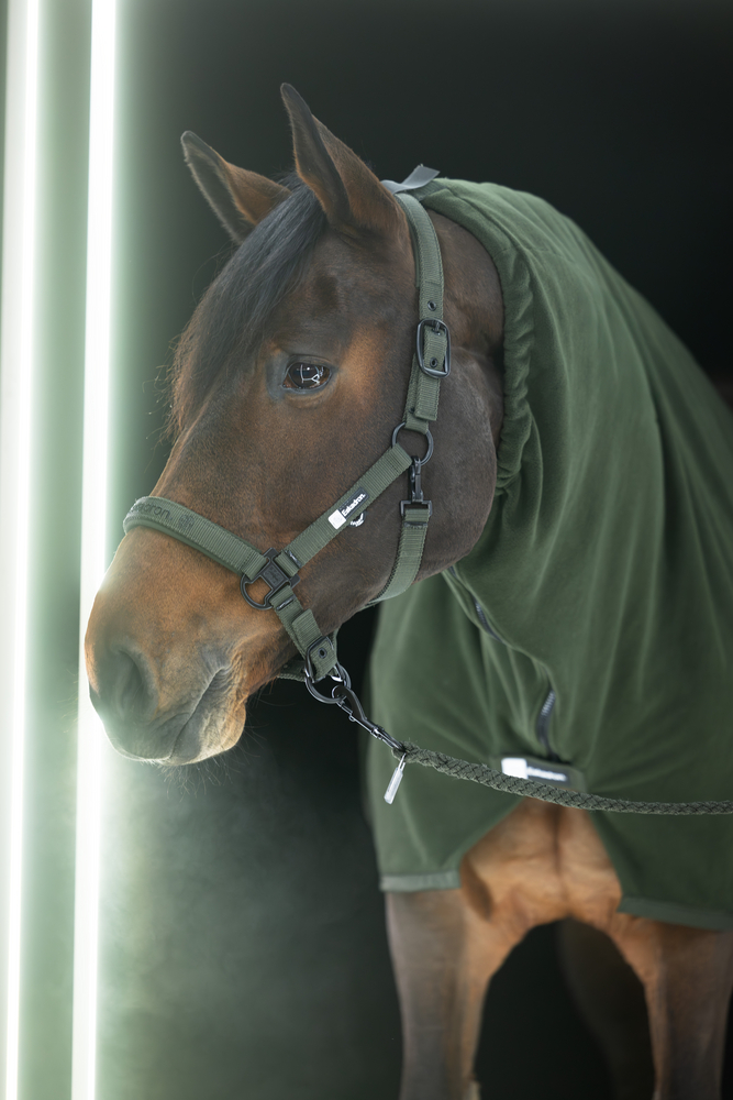 DOUBLE PIN<br>HEADCOLLAR