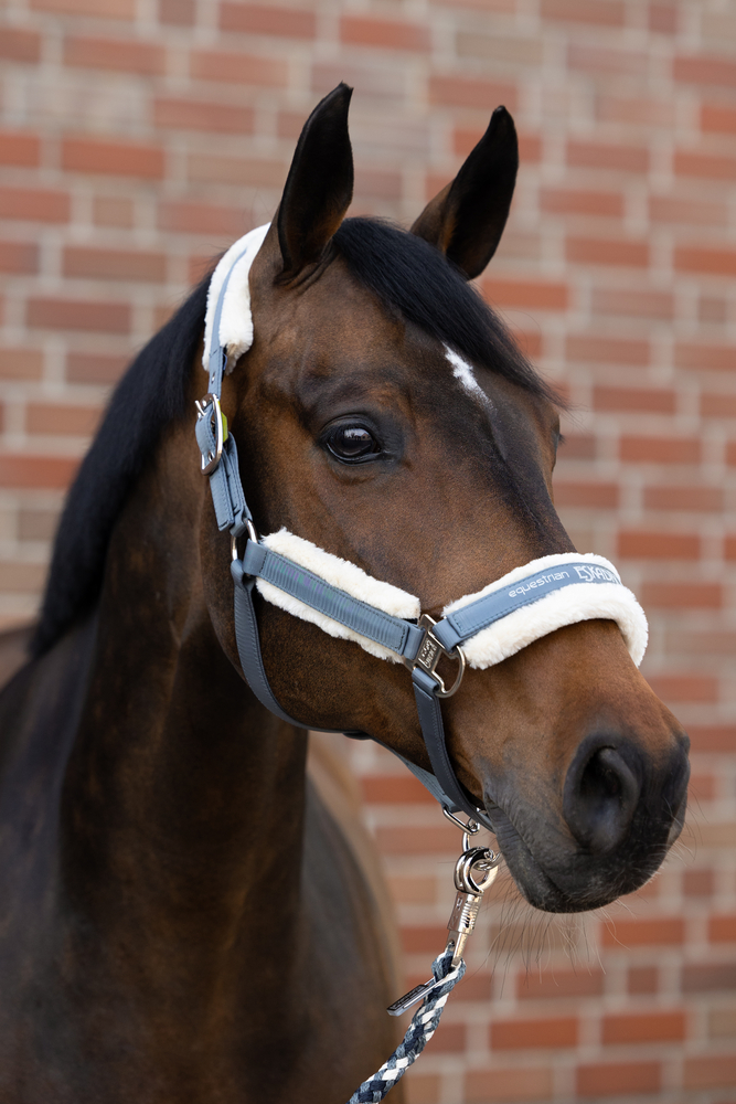FAUXFUR DOUBLEPIN<br>HEADCOLLAR