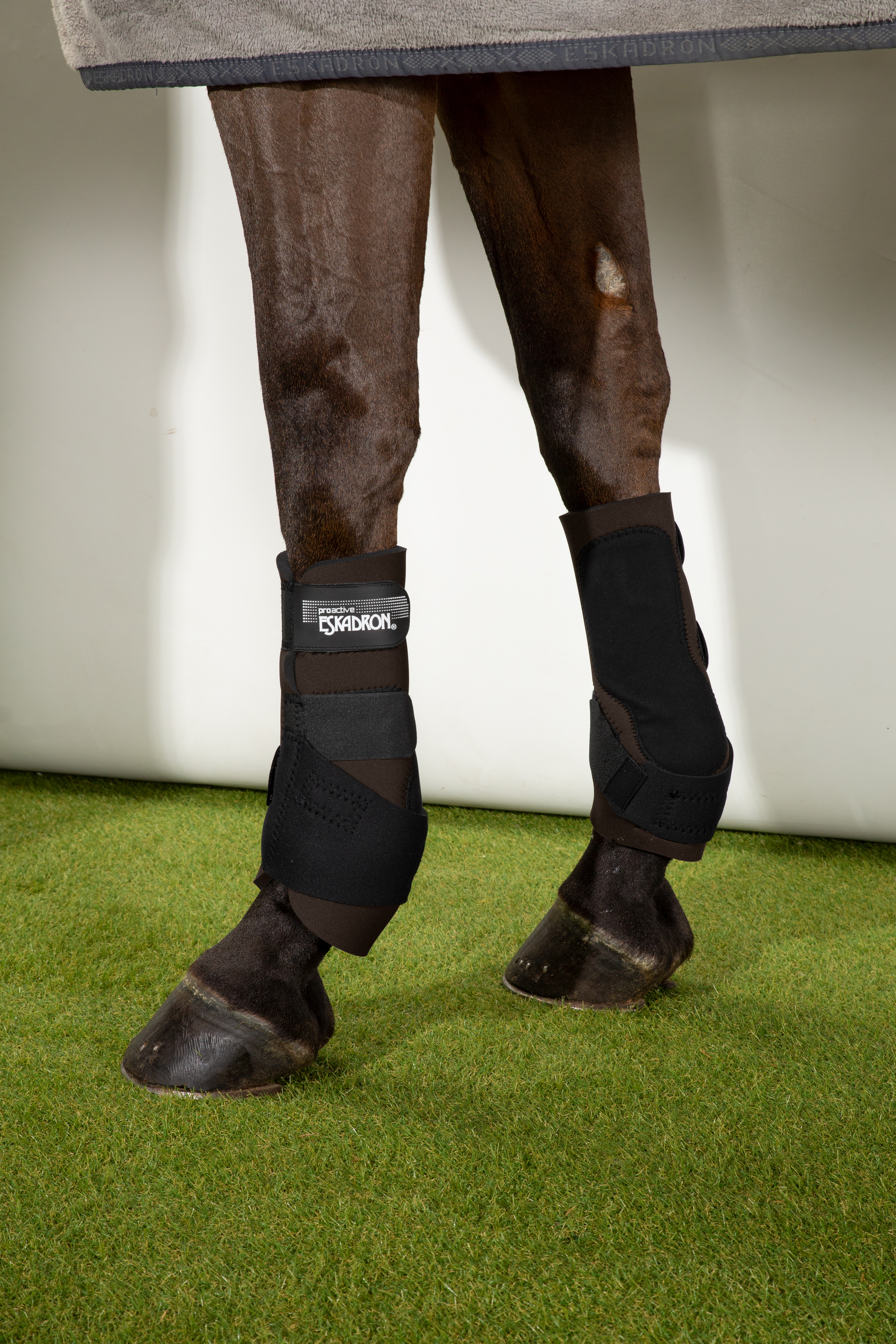 PRO ACTIVE F<br>TENDON BOOTS