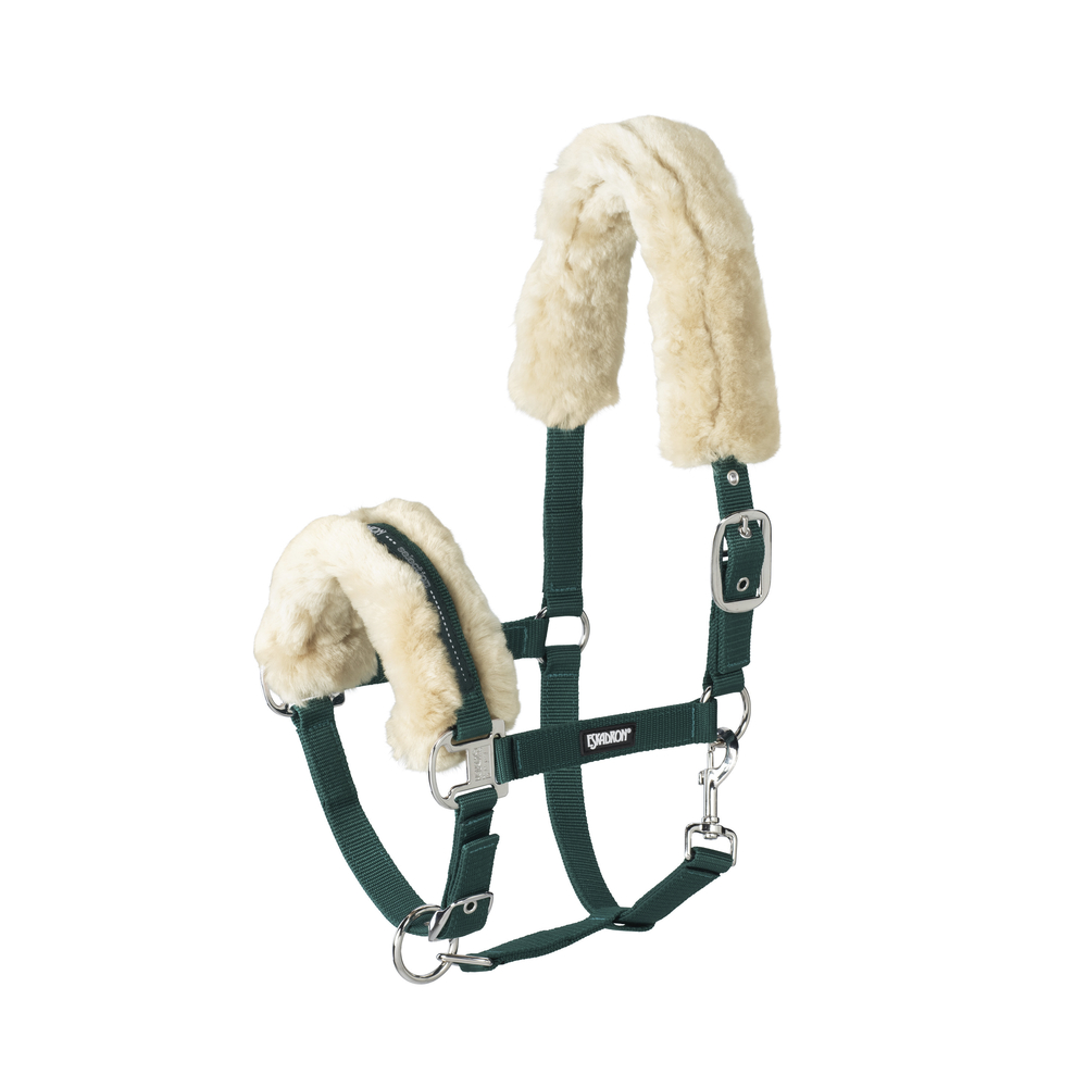 LAMBSKIN PIN BUCKLE<br>HEADCOLLAR