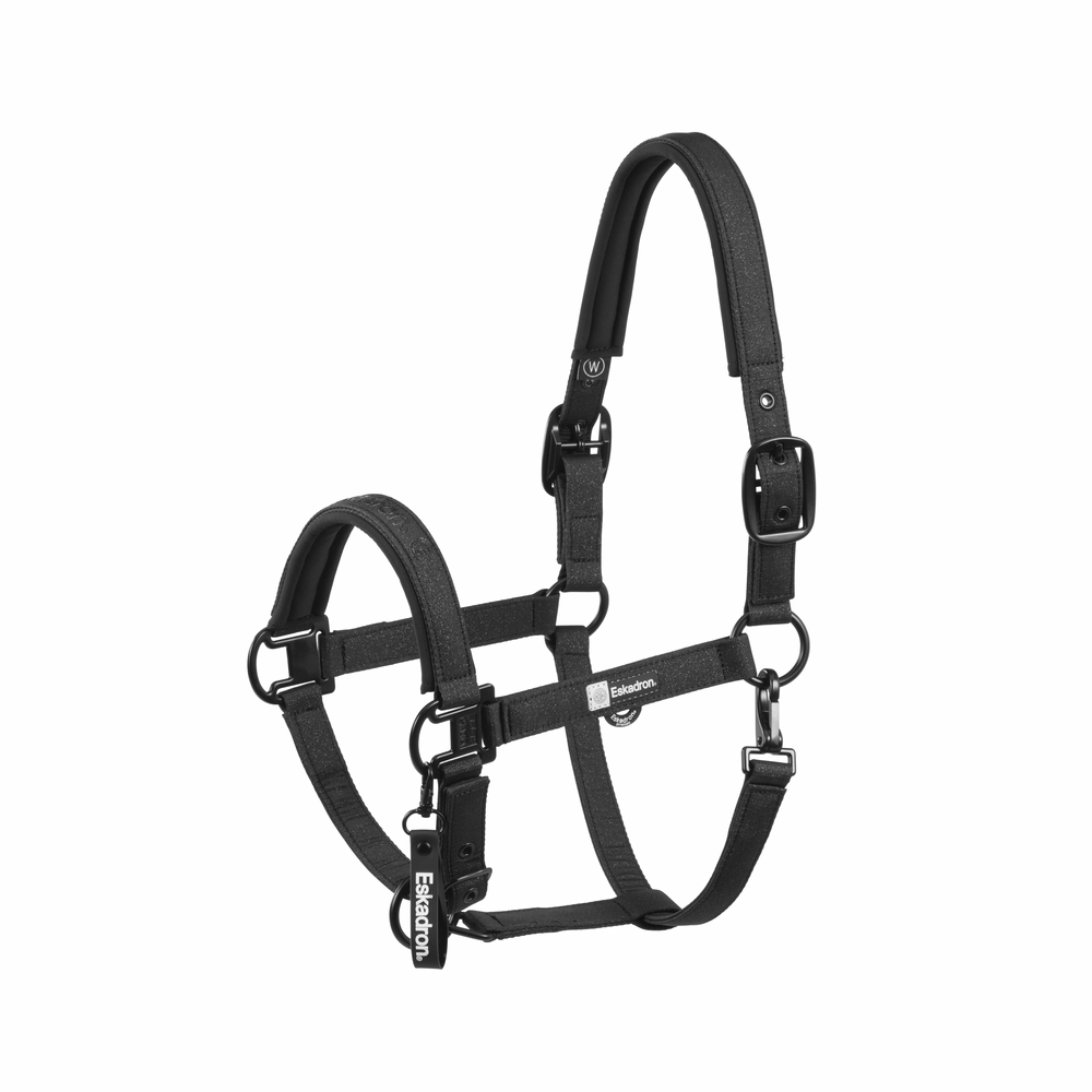 SPARKLE DOUBLE PIN<br>HEADCOLLAR