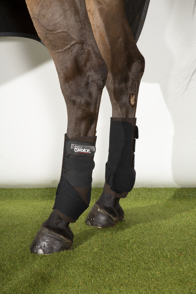 PRO ACTIVE H<br>TENDON BOOTS
