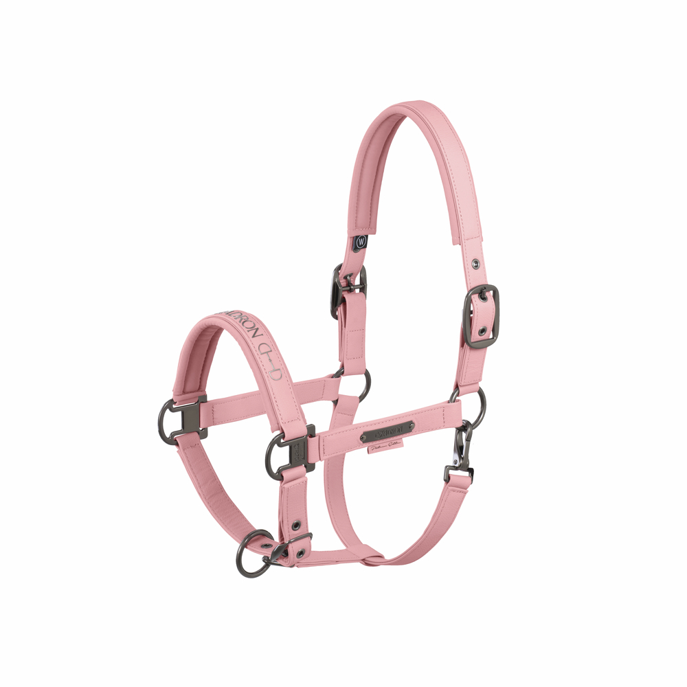 FAUX LEATHER DOUBLE PIN<br>HEADCOLLAR