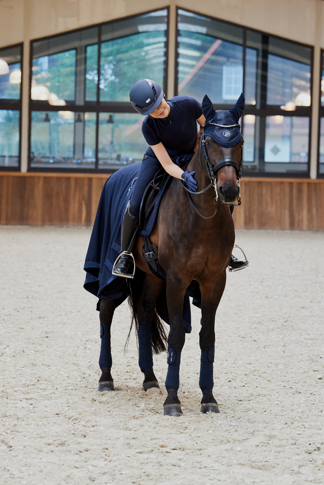 GLITTER MESH<br>FLY HOOD