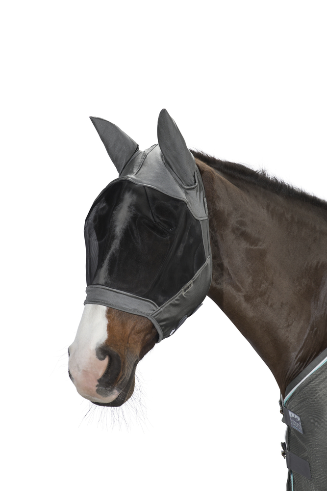FLY MASK<br>FLIEGENMASKE