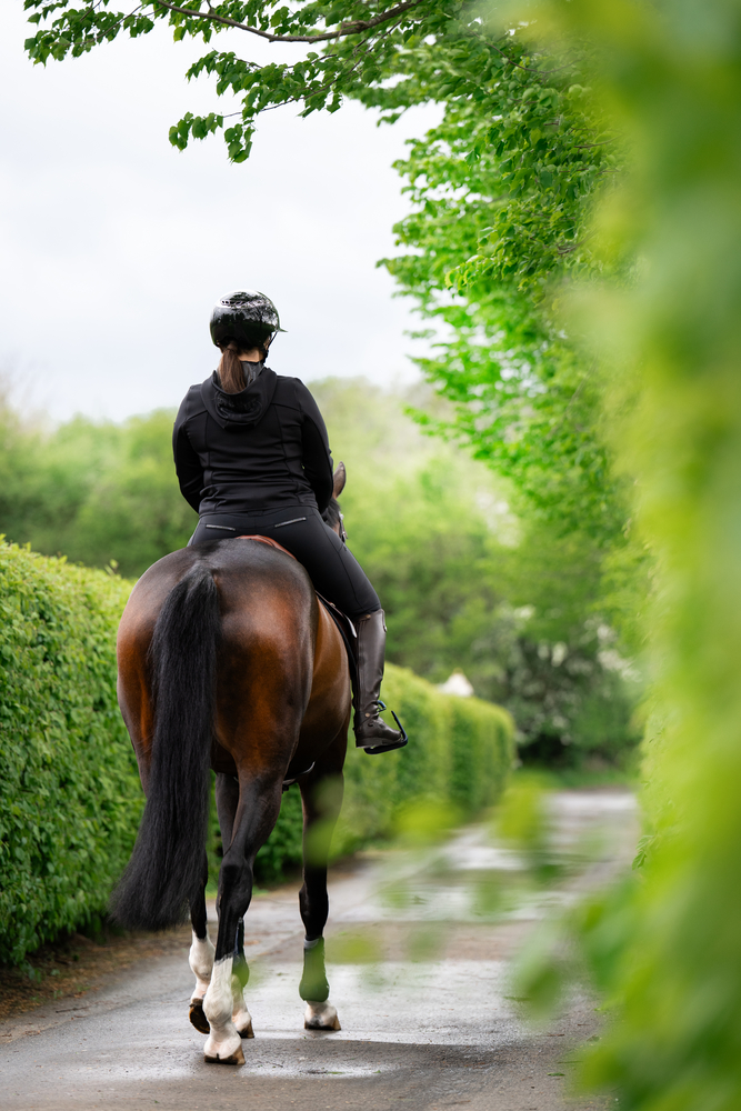 PIKEUR LAURE FFL<br>HIGHWAIST