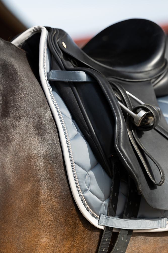 GLOSSY WAVE CONTRAST<br>SADDLE CLOTH