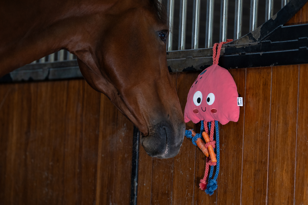 JELLYFISH<br>HORSE TOY