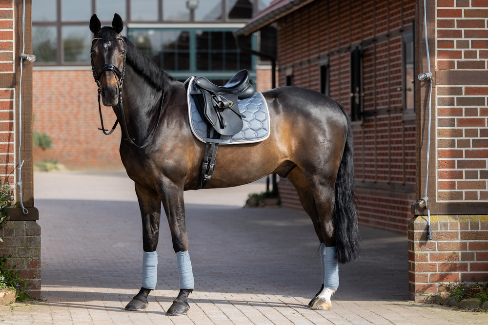 GLOSSY WAVE CONTRAST<br>SADDLE CLOTH