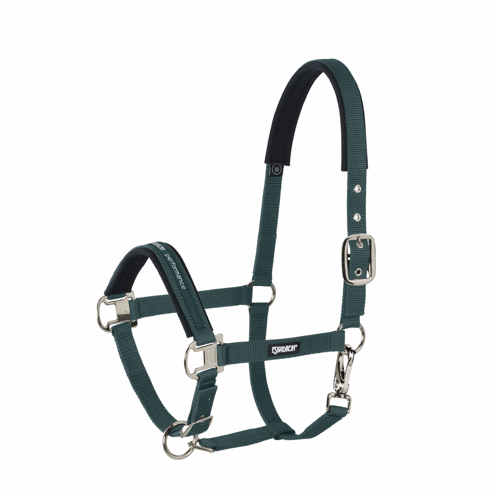 PIN BUCKLE<br>HEADCOLLAR