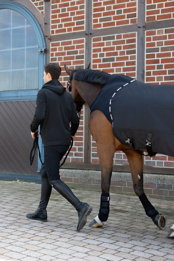 DELTA 300<br>WALKER-SYSTEM-RUG