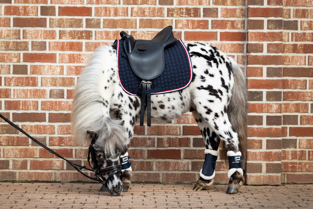 COTTON CONTRAST SHETTY<br>SADDLE CLOTH