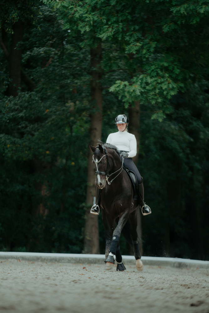 AIRLUXE CHROME L.V.<br>RIDING HELMET