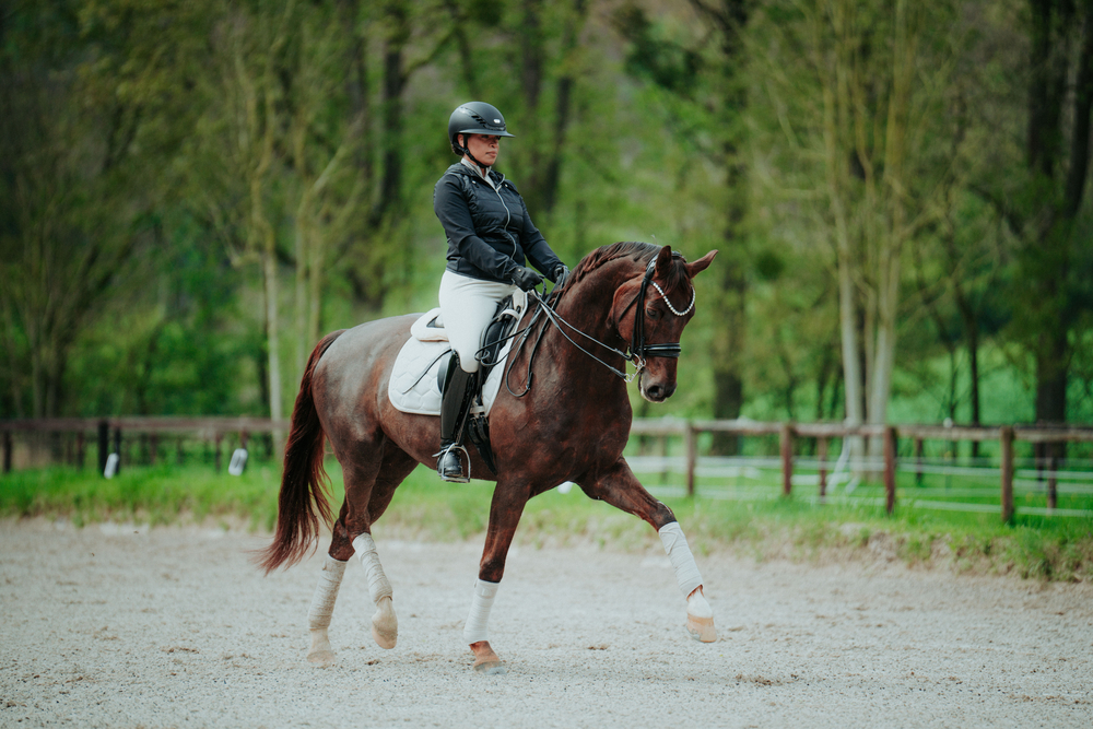 GLOSSY WAVE<br>SADDLE CLOTH
