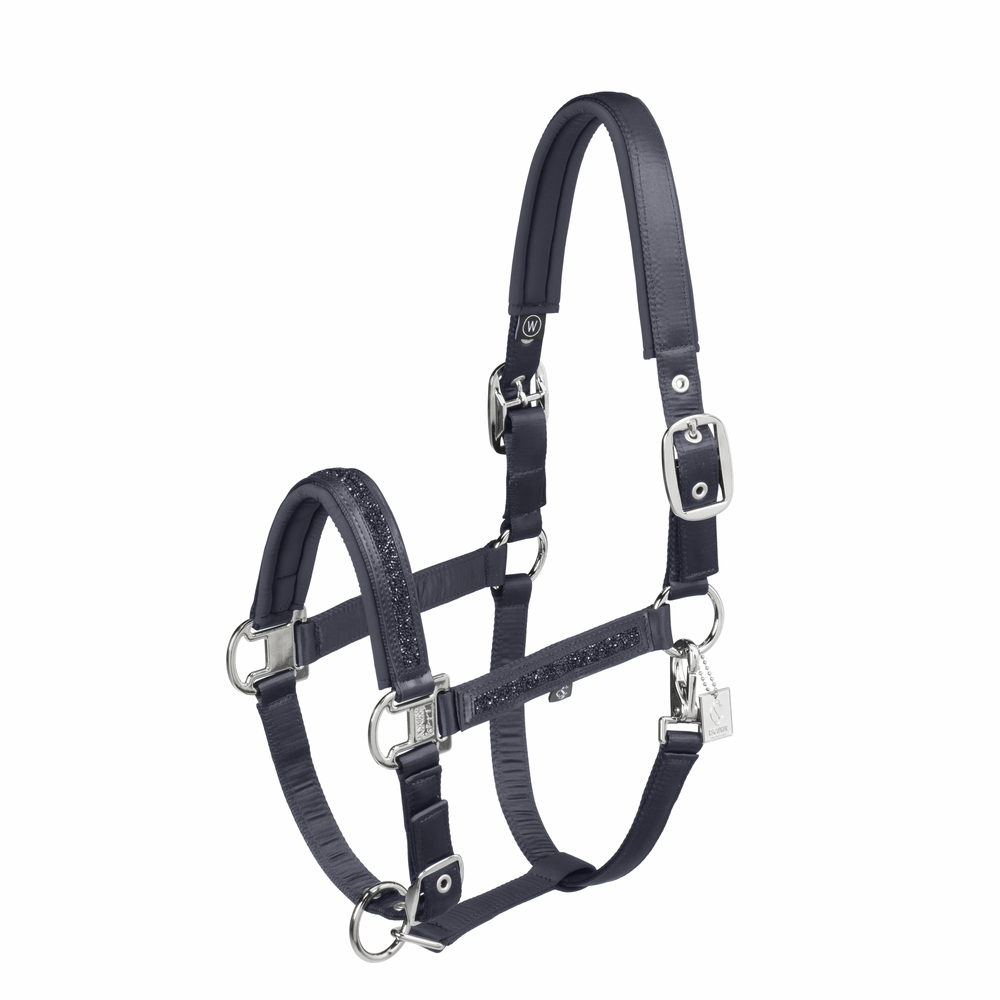MATTGLOSS JEWEL DOUBLE PIN<br>HEADCOLLAR