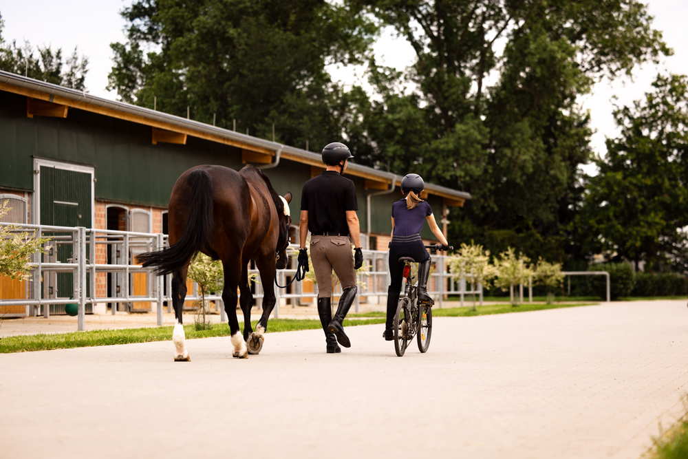 AIRDUO<br>RIDING HELMET