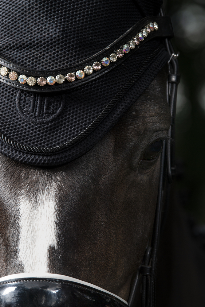 DYNAIR MESH<br>FLY HOOD