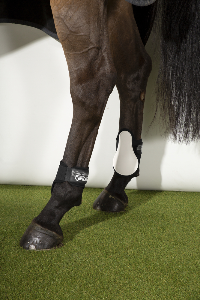 PROTECTION ELASTIC H<br>FETLOCK BOOTS