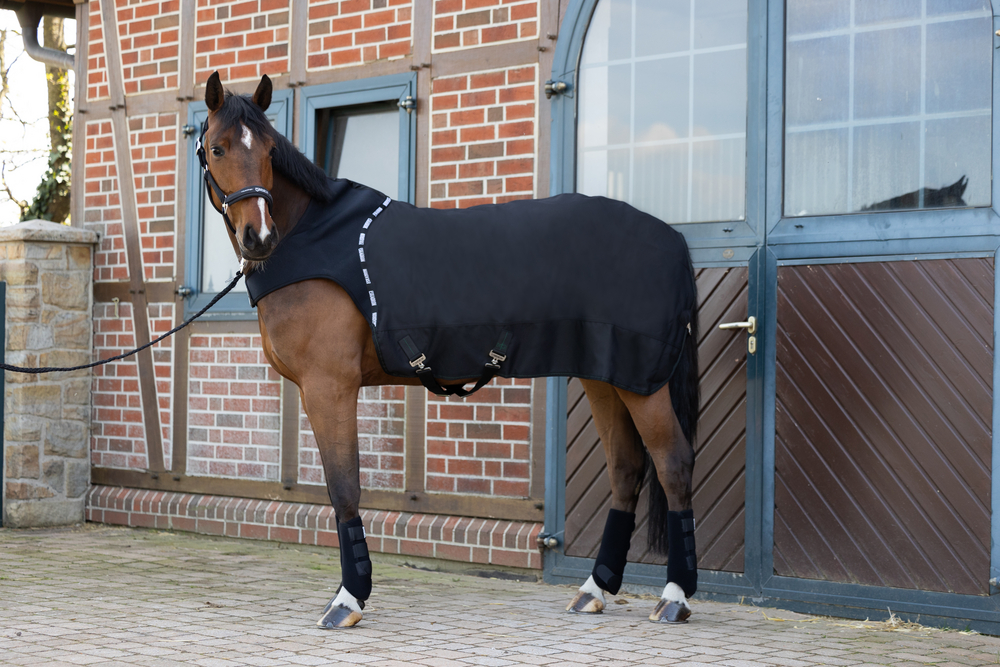 DELTA 150<br>WALKER-SYSTEM-RUG