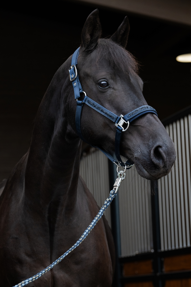 MATTGLOSS JEWEL DOUBLE PIN<br>HEADCOLLAR