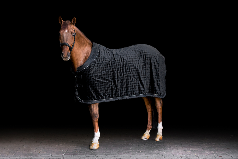 VELVET ESSENCE LIMITED<br>SHOWRUG
