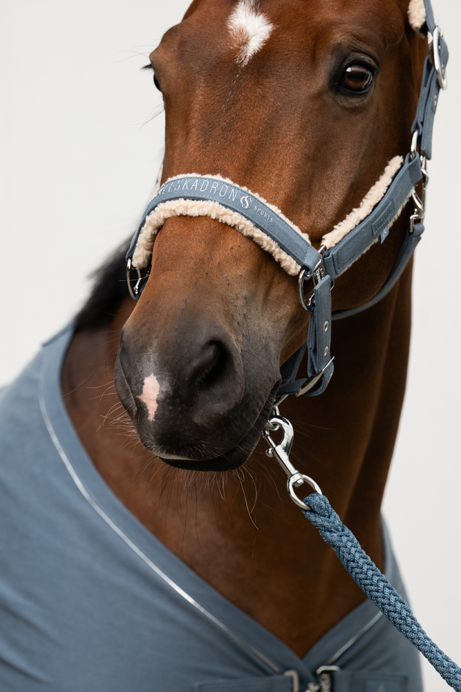 DENIM DOUBLE PIN TEDDYFLEECE<br>HEADCOLLAR
