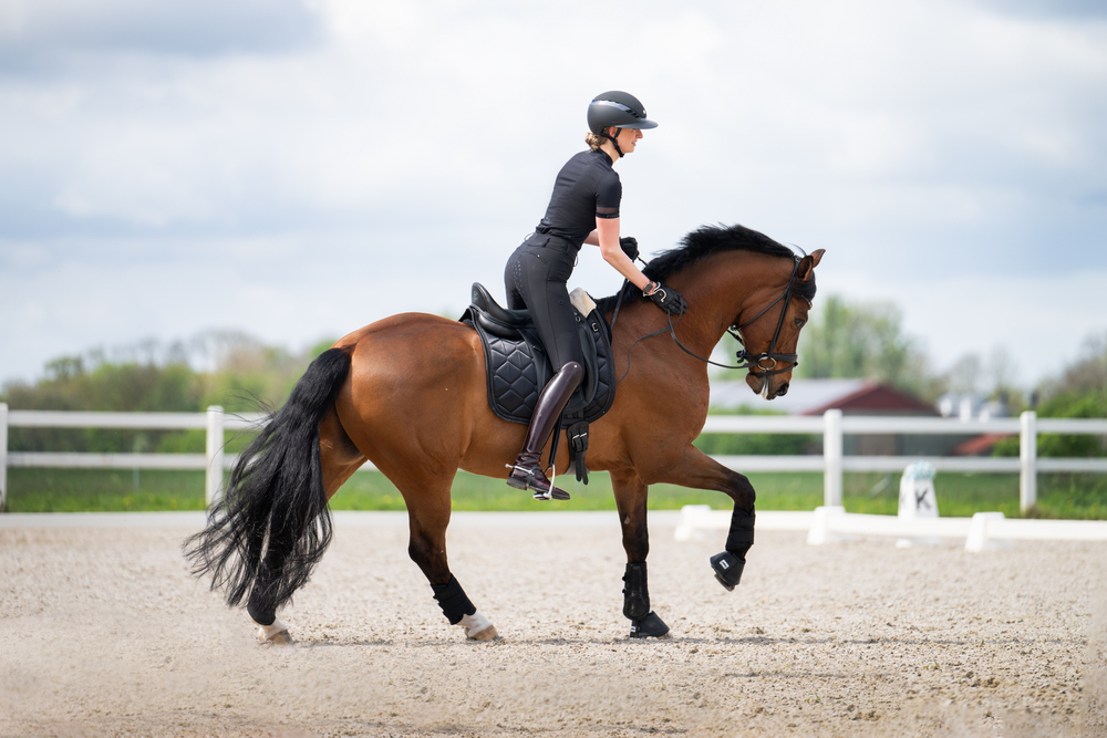 PIKEUR MALIA SD<br>FULL PATCHES