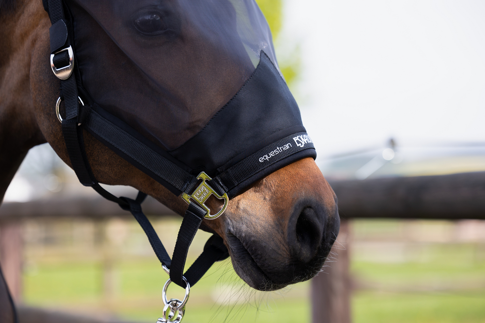 FLY<br>HEADCOLLAR