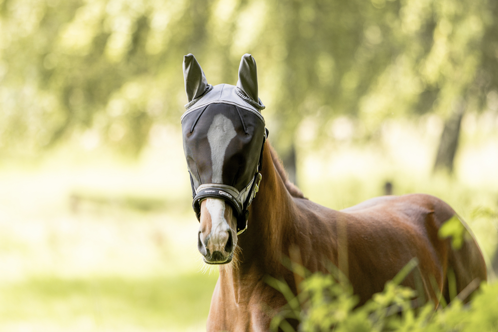 FLY MASK<br>FLIEGENMASKE