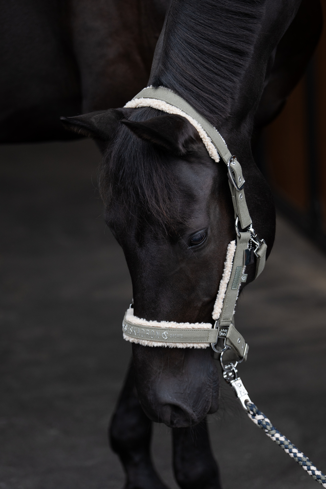 DENIM DOUBLE PIN TEDDYFLEECE<br>HEADCOLLAR