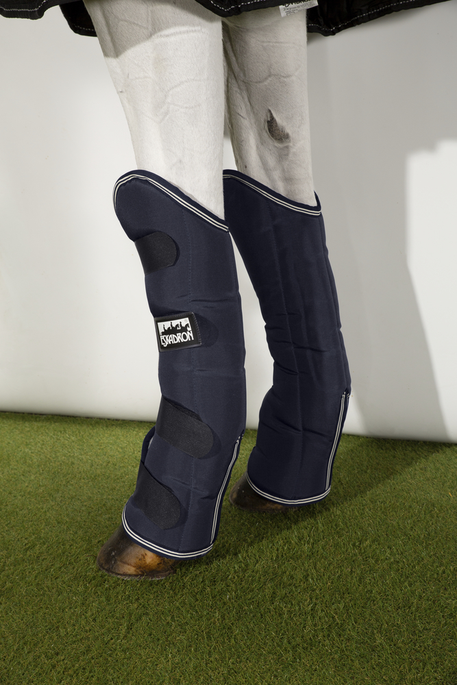 PRO TRAVELLER F<br>TRAVELLING BOOTS