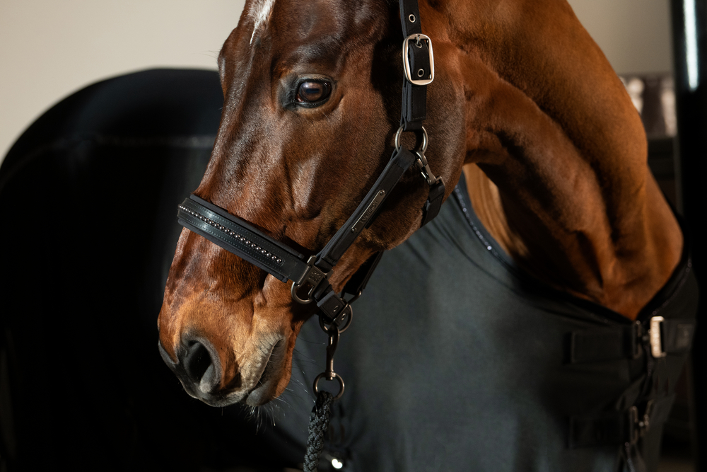 SOFTSHELL PEARLS DOUBLE PIN<br>HEADCOLLAR