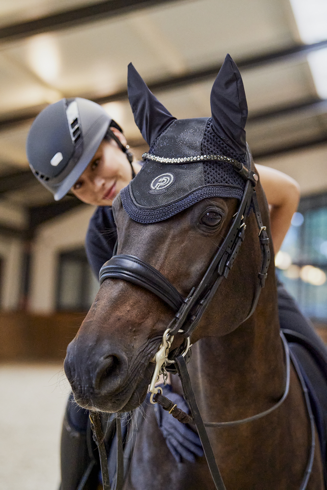 GLITTER MESH<br>FLY HOOD