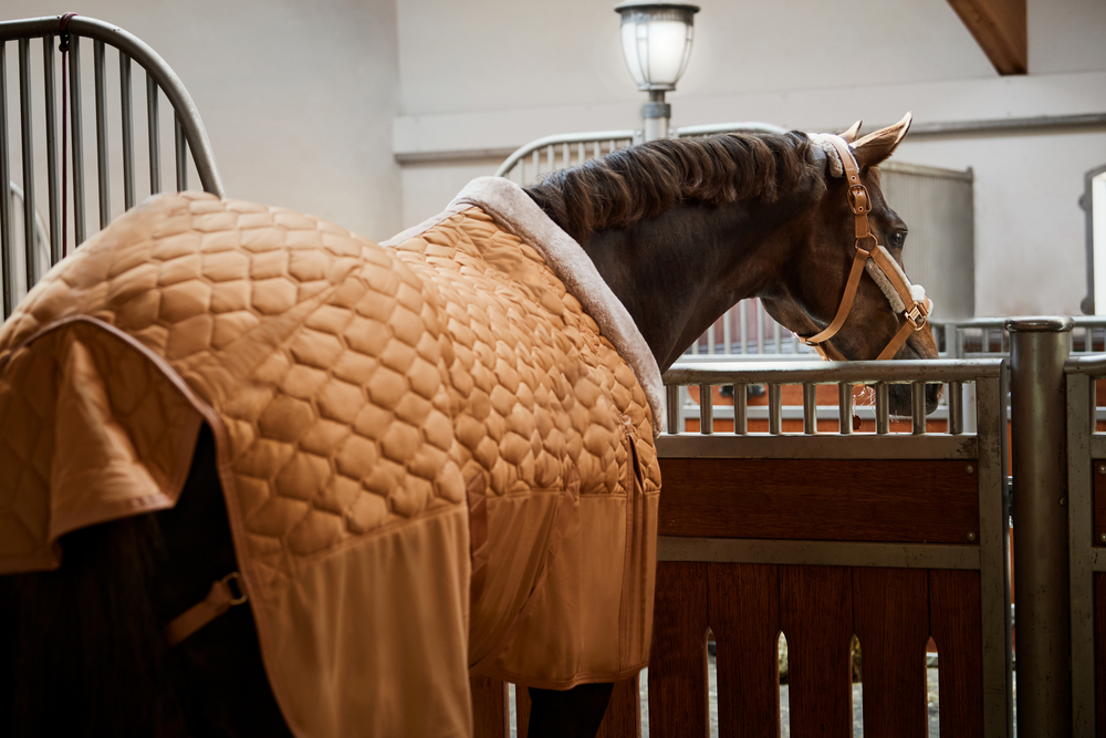 ZETA 150<br>STABLE RUG